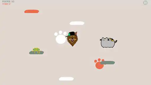Play Jump Cat