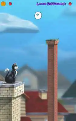Play Jump Cat