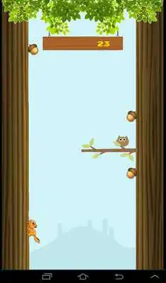 Play Jump or Nut
