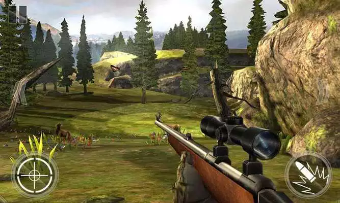 Play Jungle Deer Hunter 3D