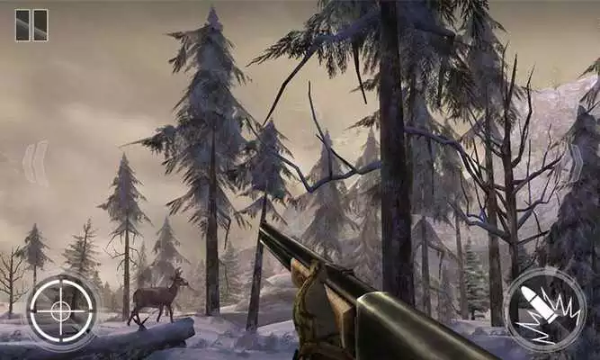Play Jungle Deer Hunter 3D