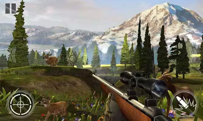 Play Jungle Deer Hunter 3D