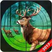 Free play online Jungle Deer Hunt Shooting APK