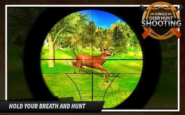 Play Jungle Deer Hunt Shooting