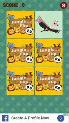 Play JUNGLE FLIP - Memory Match Game
