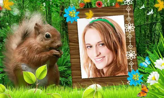 Play Jungle (Forest) Photo Frames HD Play Jungle (Forest) Photo Frames HD