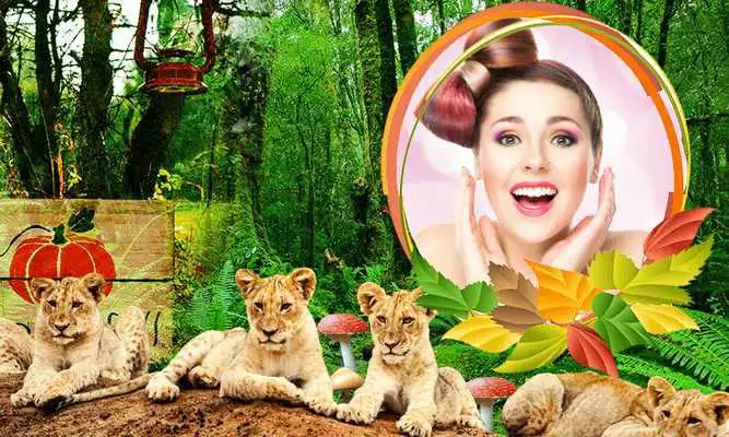 Play Jungle (Forest) Photo Frames HD Play Jungle (Forest) Photo Frames HD
