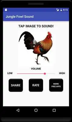 Play Jungle Fowl Sound