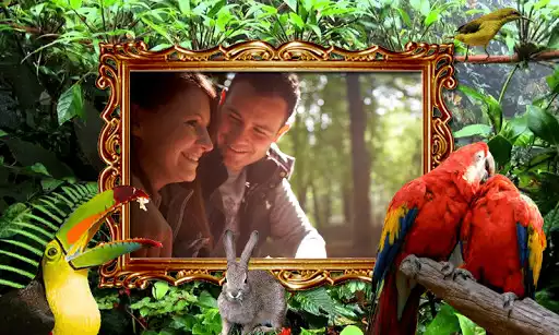 Play Jungle Frames Photo Editor  and enjoy Jungle Frames Photo Editor with UptoPlay