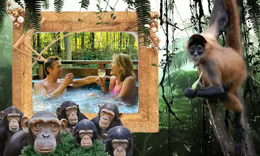Play Jungle Frames Photo Editor as an online game Jungle Frames Photo Editor with UptoPlay