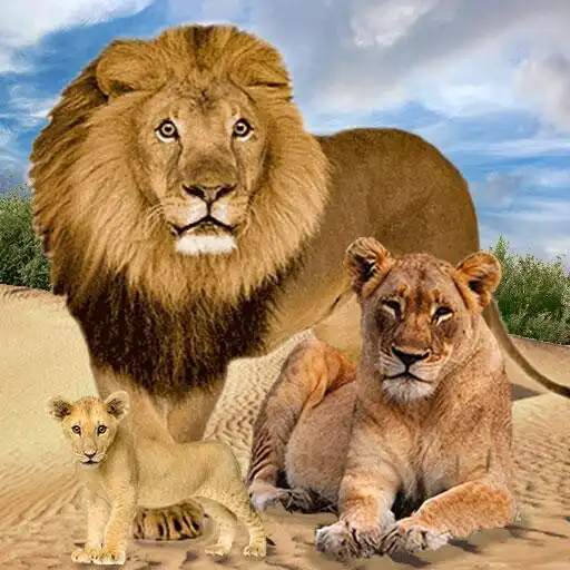 Play Jungle Kings Kingdom Lion APK