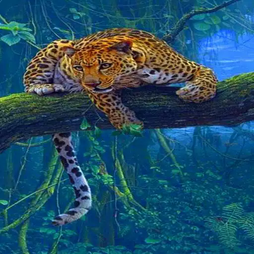 Play Jungle Leopard Live Wallpaper APK Play Jungle Leopard Live Wallpaper APK