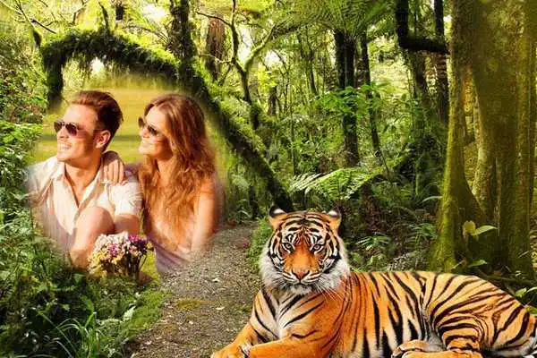 Play Jungle Photo Frames