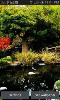 Play Jungle Pond Live Wallpaper