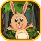 Free play online Jungle Rabbit Jump APK