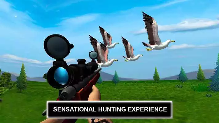 Play Jungle Sniper Birds Hunting 2018