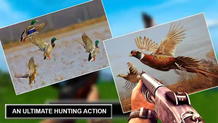 Play Jungle Sniper Birds Hunting 2018
