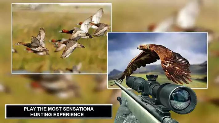 Play Jungle Sniper Birds Hunting 2018