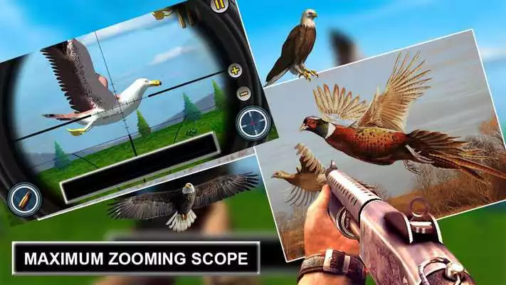 Play Jungle Sniper Birds Hunting 2018