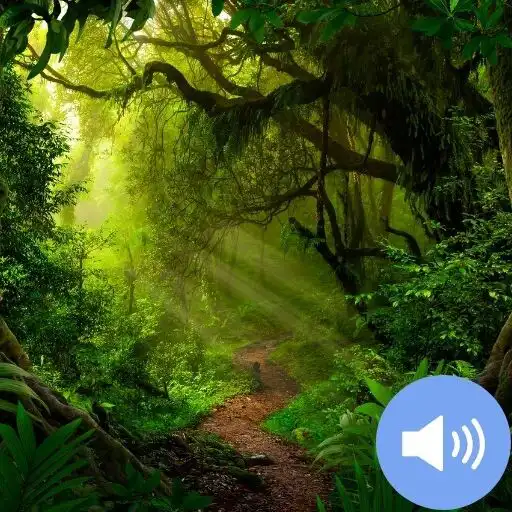 Play Jungle Sounds and Wallpapers APK Play Jungle Sounds and Wallpapers APK