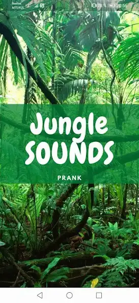 Play Jungle Sounds and Wallpapers  and enjoy Jungle Sounds and Wallpapers with UptoPlay