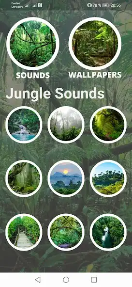 Play Jungle Sounds and Wallpapers as an online game Jungle Sounds and Wallpapers with UptoPlay