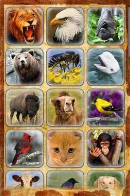 Play Jungle Sounds Demo