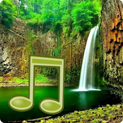 Play Jungle Sounds - Nature Sounds APK Play Jungle Sounds - Nature Sounds APK
