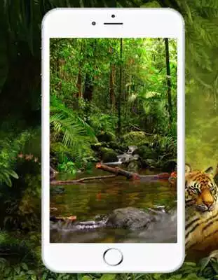 Play Jungle Wallpaper