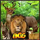 Free play online Jungle Zone Animal Hunter 3D APK