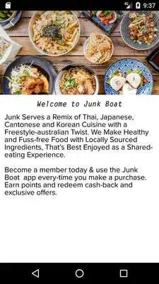 Play Junk Boat