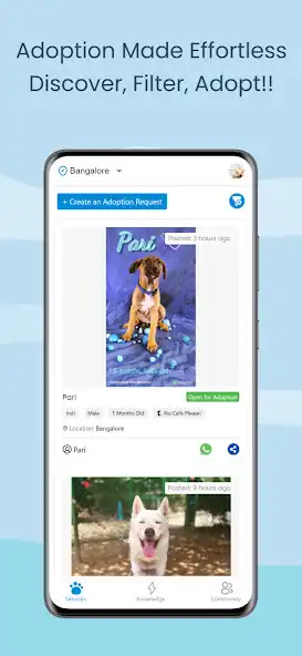 Play Juspets as an online game Juspets with UptoPlay