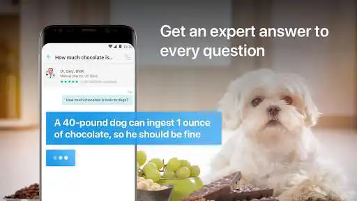 Play JustAnswer  and enjoy JustAnswer with UptoPlay