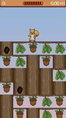 Play Just Nutz Play Just Nutz