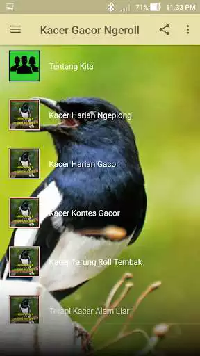 Play Kacer Gacor Ngeroll as an online game online Kacer Gacor Ngeroll with UptoPlay com.rajekwesi.kacer.gacor.ngeroll Play Kacer Gacor Ngeroll as an online game Kacer Gacor Ngeroll with UptoPlay