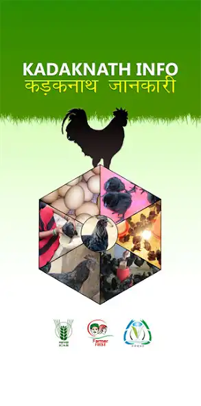 Play Kadaknath Info  and enjoy Kadaknath Info with UptoPlay