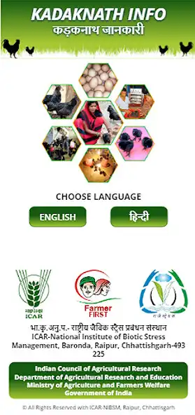 Play Kadaknath Info as an online game Kadaknath Info with UptoPlay