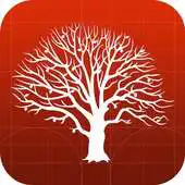 Free play online kadam info APK