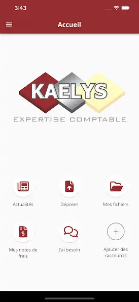 Play Kaelys Expertise Comptable as an online game Kaelys Expertise Comptable with UptoPlay