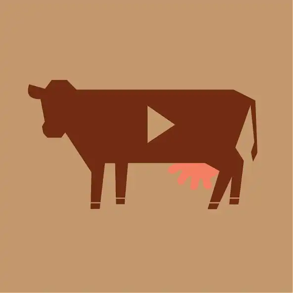 Play Kaffi Kú as an online game Kaffi Kú with UptoPlay