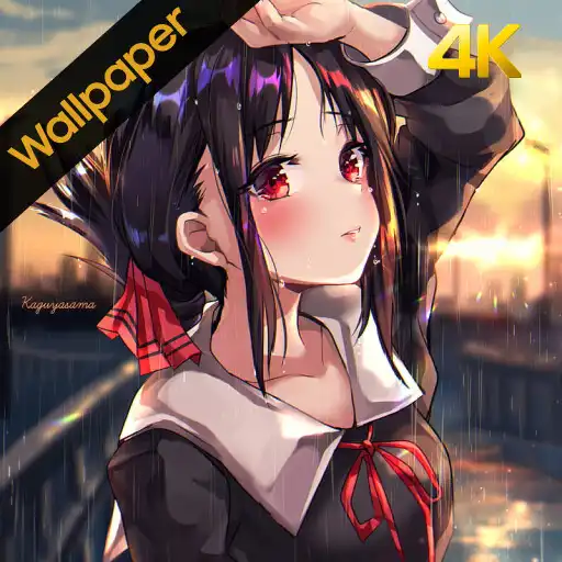 Play Kaguya-sama Love War Wallpaper APK