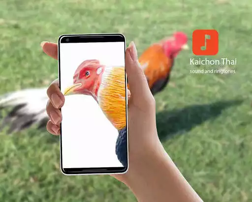 Play Kaichon Sound Ringtones  and enjoy Kaichon Sound Ringtones with UptoPlay