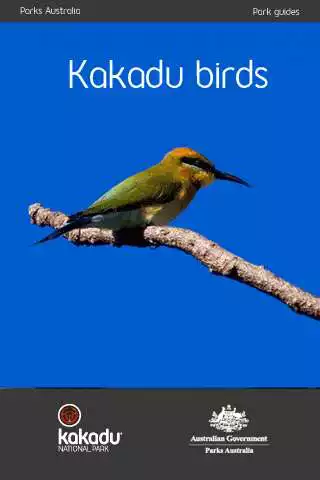 Play Kakadu Birds and enjoy Kakadu Birds with UptoPlay Play Kakadu Birds and enjoy Kakadu Birds with UptoPlay