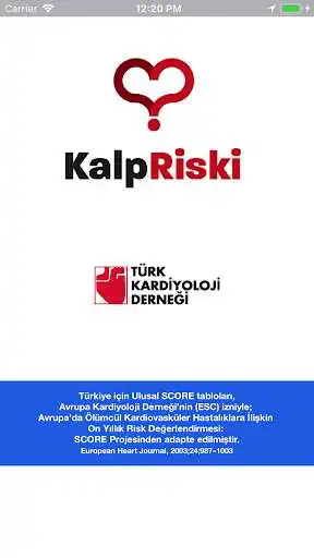 Play Kalp Riski as an online game Kalp Riski with UptoPlay