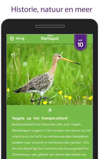 Play Kampereiland as an online game online Kampereiland with UptoPlay nl.byters.kampereiland Play Kampereiland as an online game Kampereiland with UptoPlay