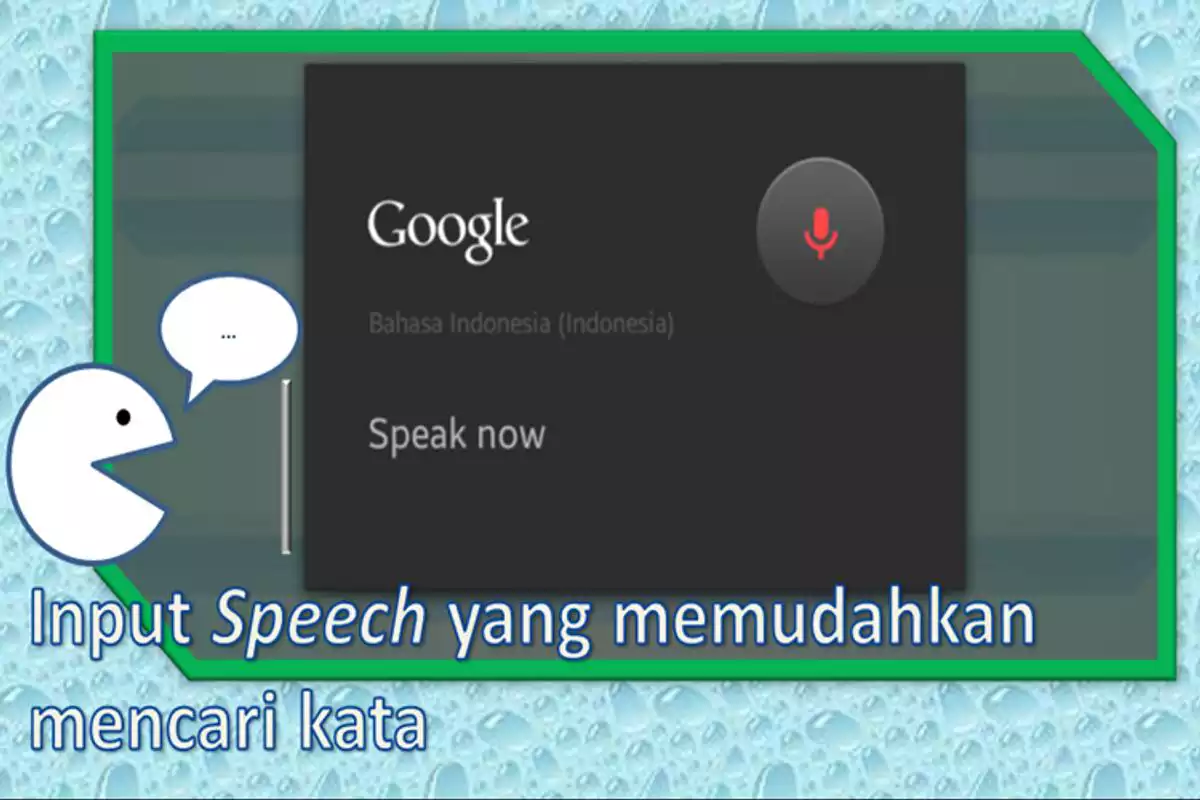 Play Kamus Lima Bahasa