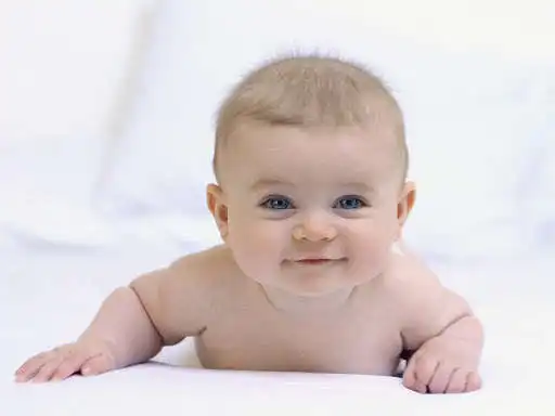 Play Kamus Nama-Nama Bayi as an online game online Kamus Nama-Nama Bayi with UptoPlay com.kamusnamanamabayi.atten Play Kamus Nama-Nama Bayi as an online game Kamus Nama-Nama Bayi with UptoPlay
