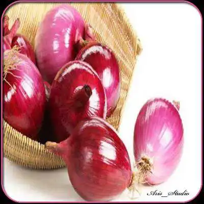Play Kamus Obat Tradisional