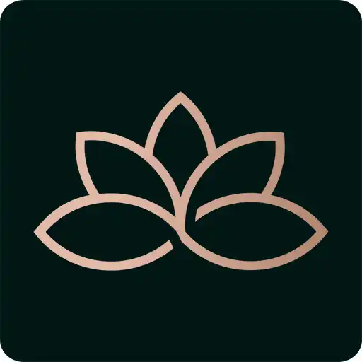 Play K and M Gold APK