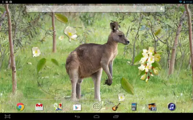 Play Kangaroo Australia LWP
